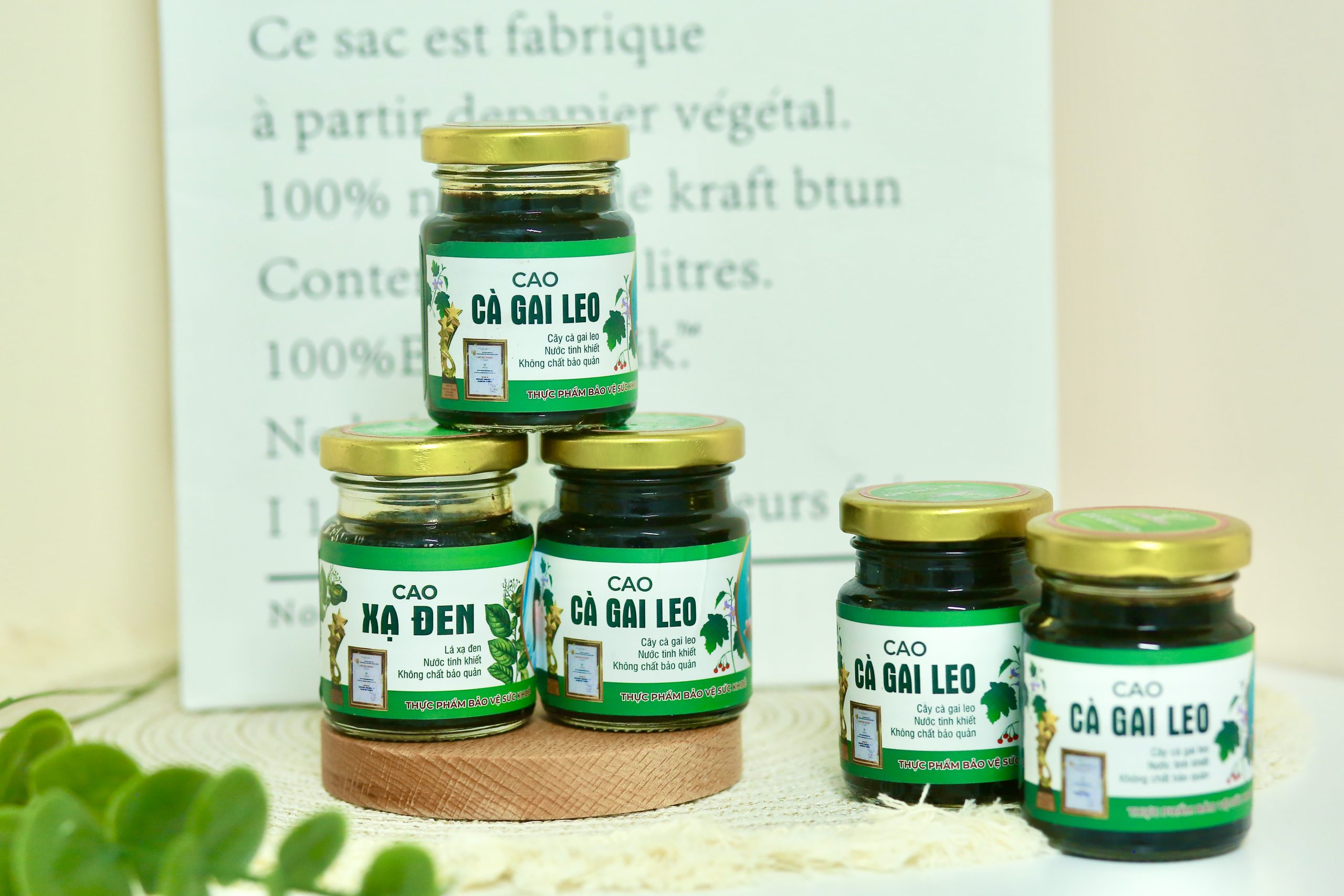Cao Cà Gai Leo