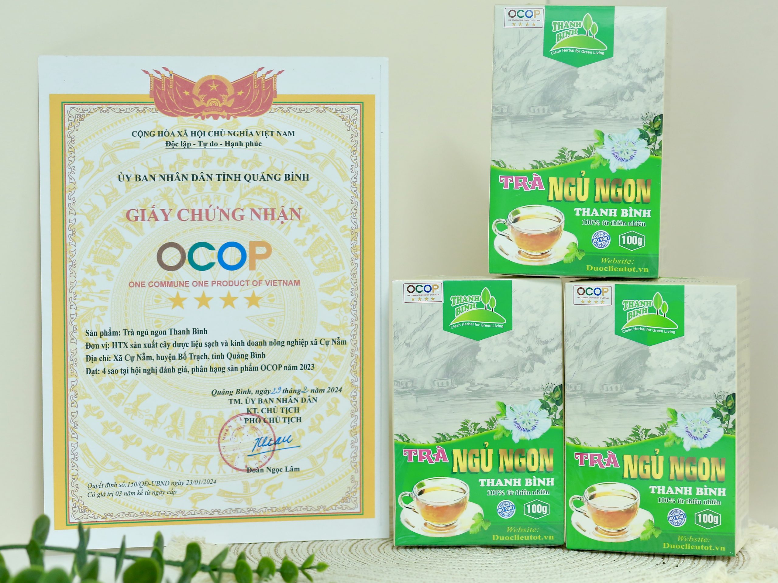 Trà Ngủ Ngon