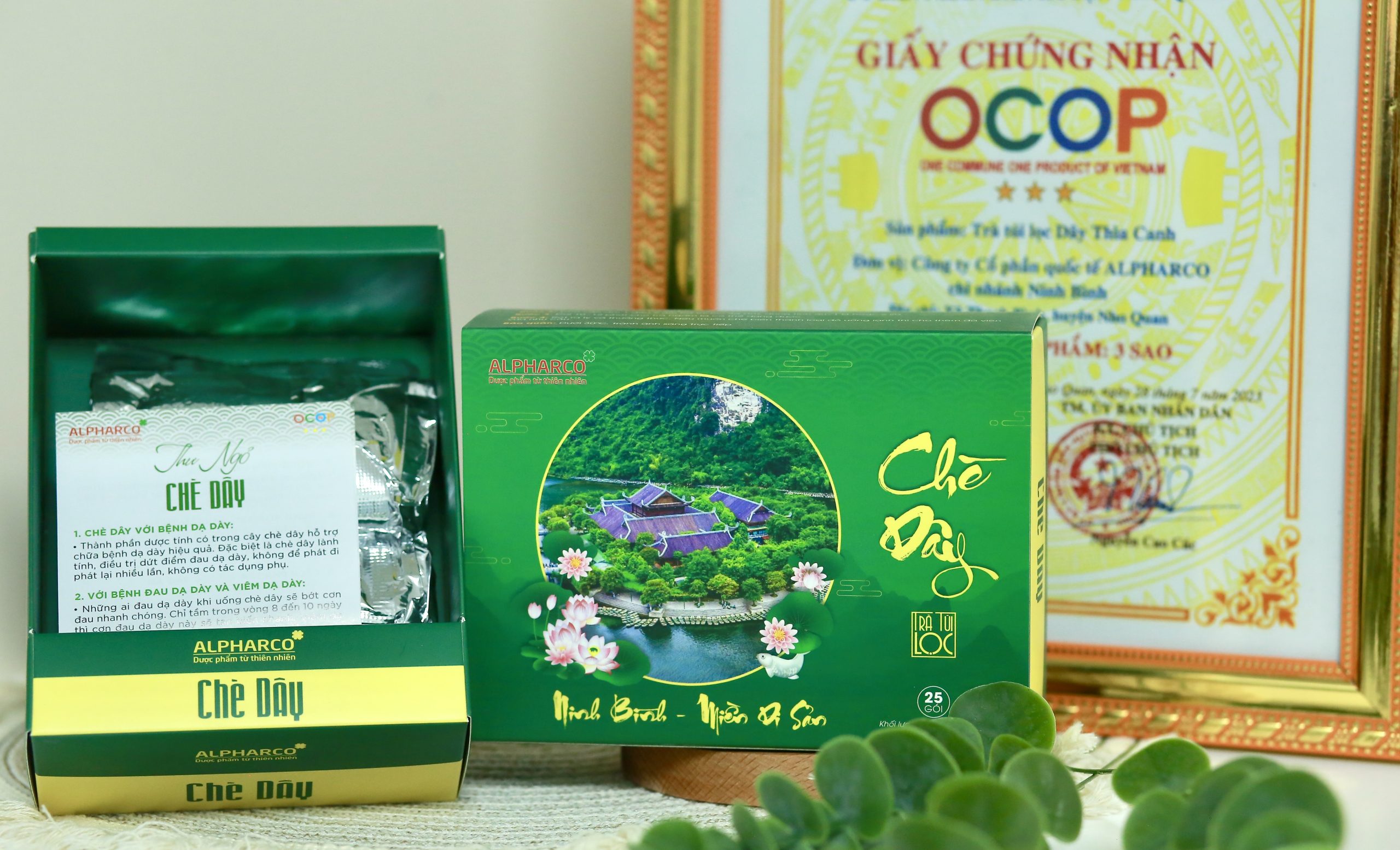 Chè Dây