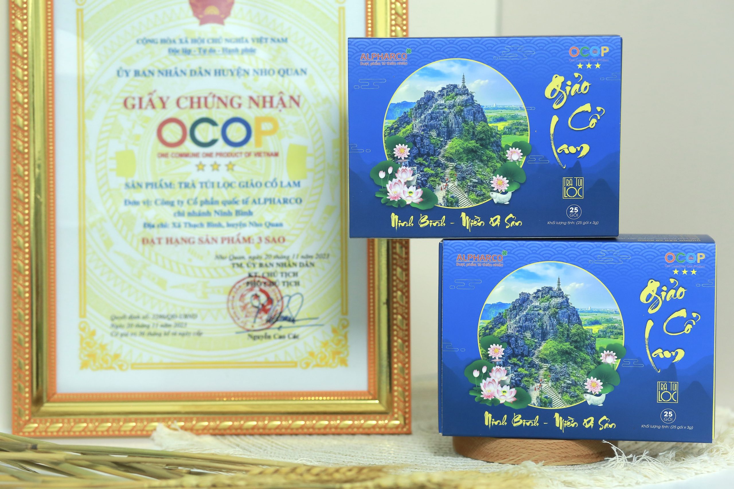 Giảo Cổ Lam